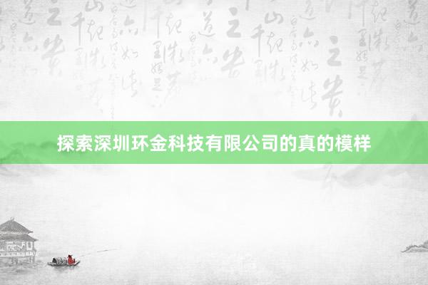 探索深圳环金科技有限公司的真的模样