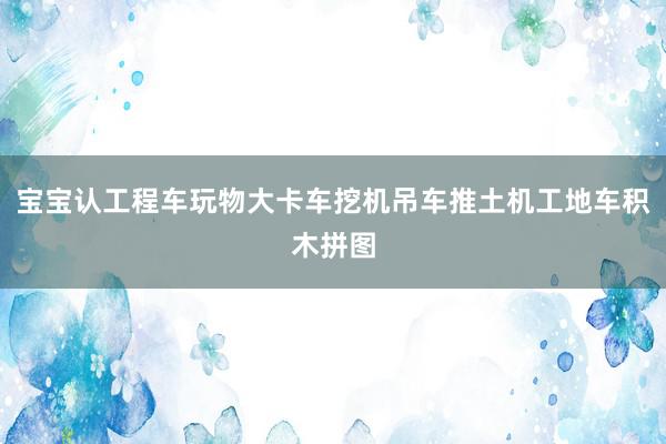宝宝认工程车玩物大卡车挖机吊车推土机工地车积木拼图
