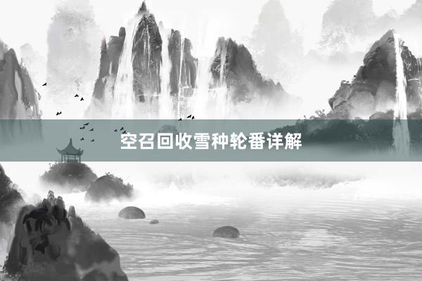 空召回收雪种轮番详解