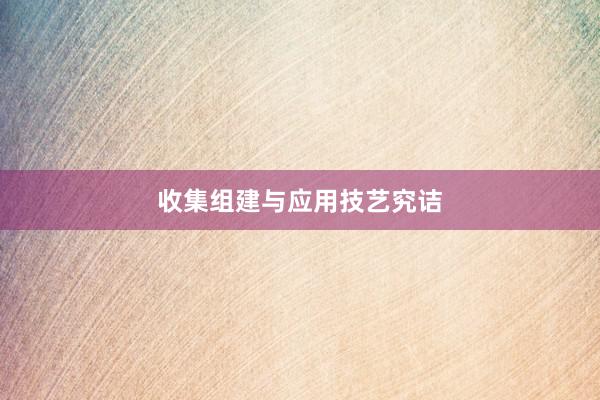 收集组建与应用技艺究诘